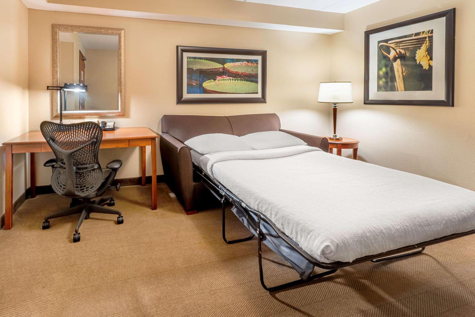 Hilton Garden Inn Houston/The Woodlands Eksteriør bilde