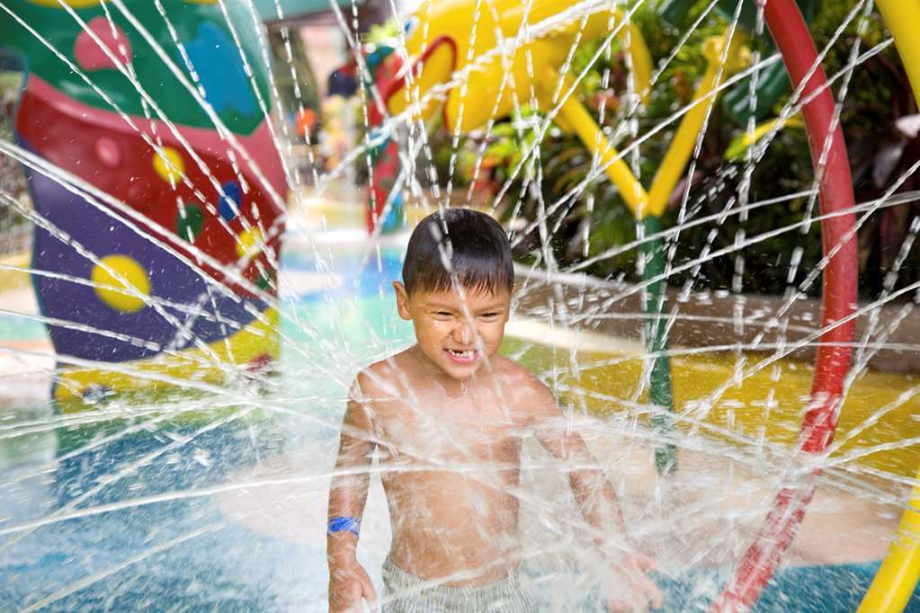 Hilton Garden Inn Houston/The Woodlands Fasiliteter bilde